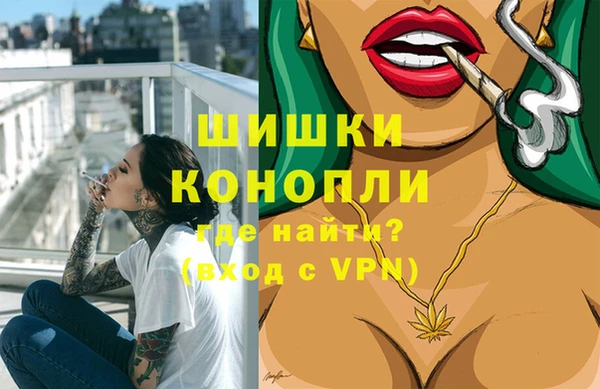индика Покровск