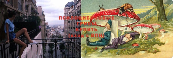 индика Покровск