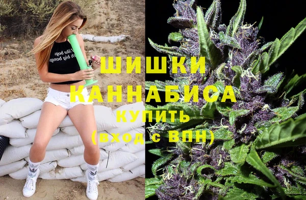 сатива Покров