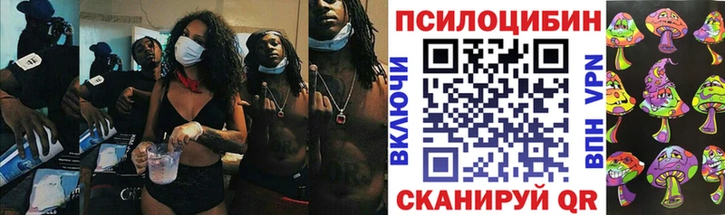 блэк спрут как зайти Спас-Клепики Галлюциногенные грибы Magic Shrooms